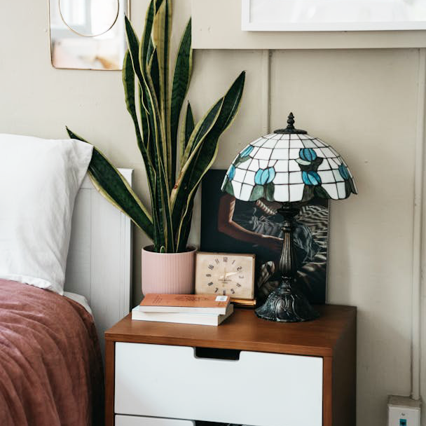 Snake Plant on a Nightstand